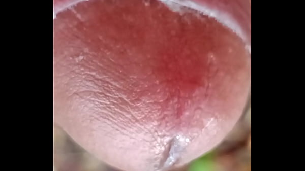 Que cabeção grande é essa  da minha piroka wow