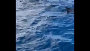 Had such a chilled time in the Canaries  now it’s time to head home