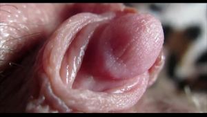 Big clit orgasm closeup 1080