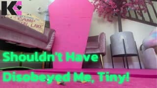 Shouldn’t Have Disobeyed Me, Tiny!