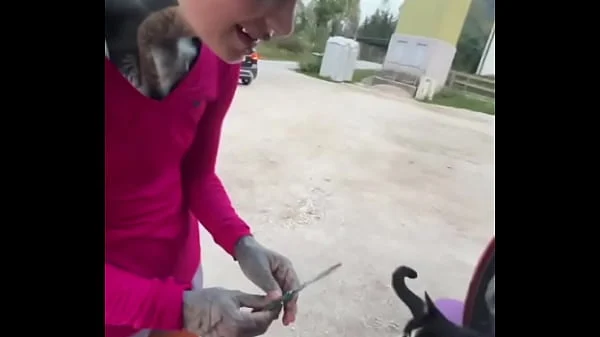 A cat was waiting for us on our car, we don’t know who she is, but she’s cute ?What would you name her?#StrayCat …