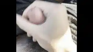 car jerk 5