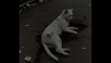 I became Felicia’s master (AI-generated) (No live-action) (NSFW) (fully voice)