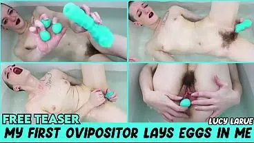 My First Ovipositor Lays Eggs In Me