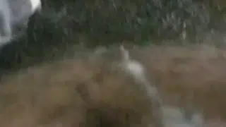 Another shot at life .