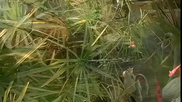 Brooke Banner Loves Steamy Sex