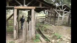 Cowboys fuck in the stable – NO CONDOM