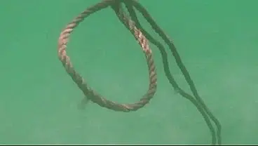 Lola bunnies Helen Star pool outdoors slow 769 Release week 11