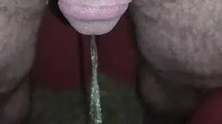 Morning piss outside