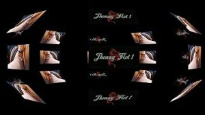 DENTRO DO CARRO HOJE VAI TER PUTARIA