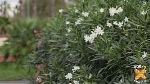 Gigi, coquine sensuelle, s’offre deux belles bites