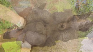 Big Stallion Horse Orgasm w/ Twink Boy Max (Furry Gay Sex) | Wild Life Furries