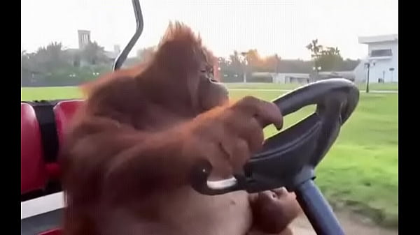 Fodendo com puta dentro do saveiro