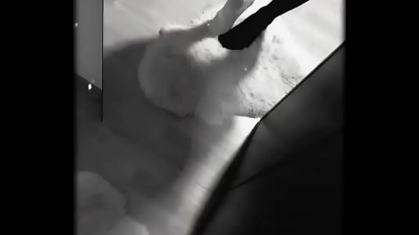 Happy Halloween!  •More on OF! #sienna #terrifier #terrifier2 #Halloween #blacknails #blacksocks #whitesocks …