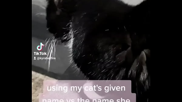 using my cats given name vs the name she chose for herself?