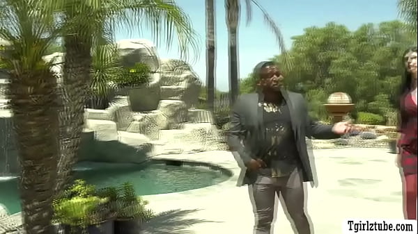 Wealty Shemale party goer bareback fucked by big black cock