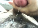 Hairy Bear Shows Off on Webcam
